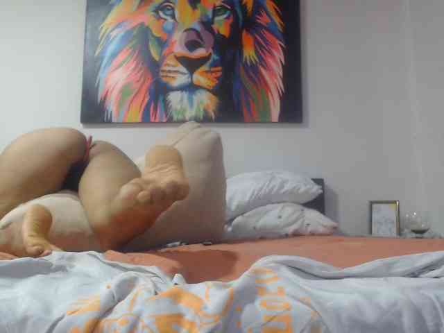 adablak webcam
