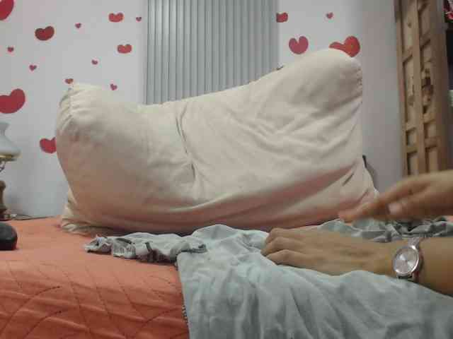 adablak webcam