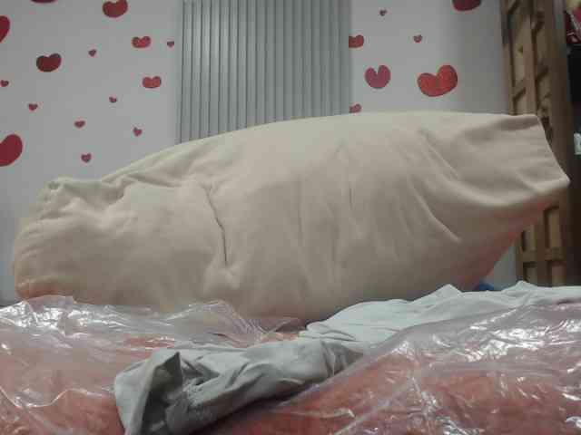 adablak webcam
