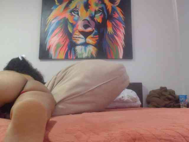 adablak webcam