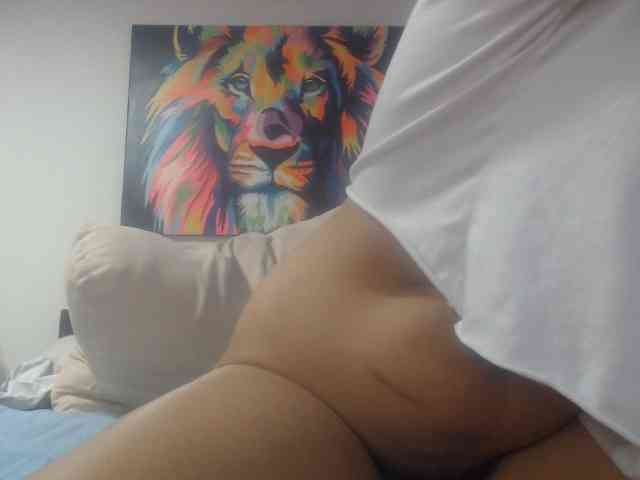 adablak webcam