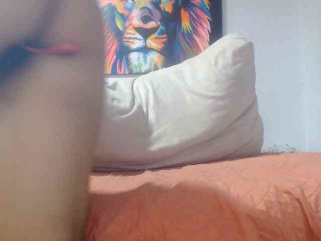 adablak webcam