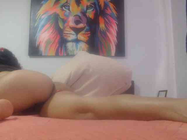 adablak webcam