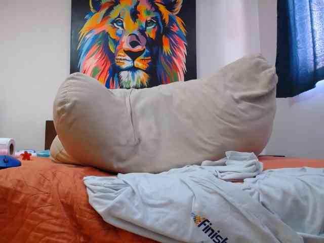 adablak webcam