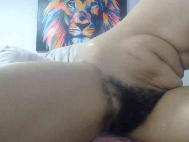 adablak webcam