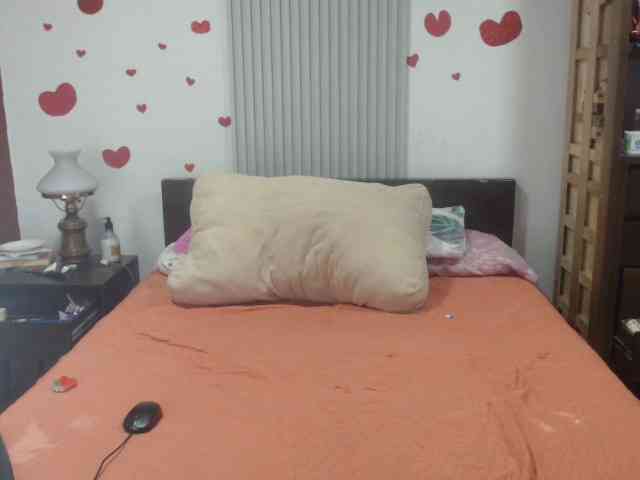 adablak webcam