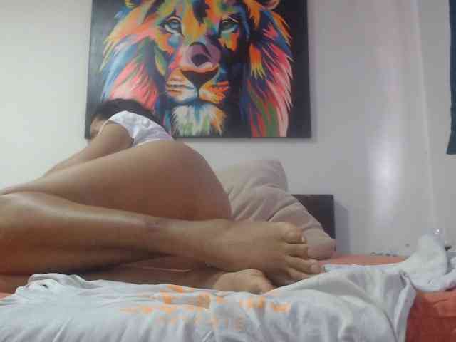 adablak webcam