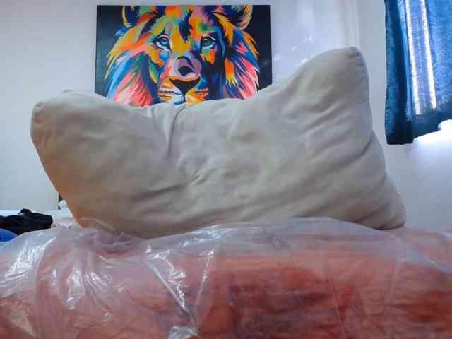 adablak webcam