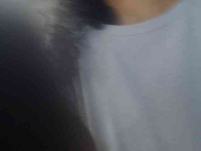 adablak webcam