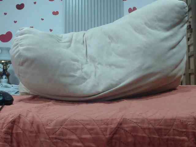 adablak webcam
