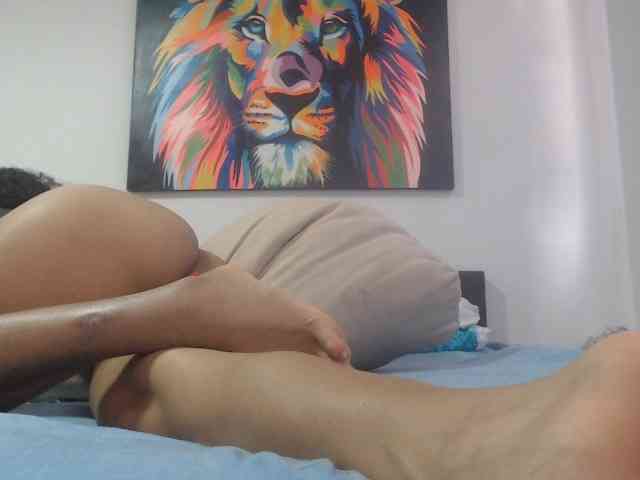 adablak webcam