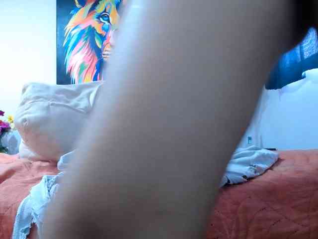 adablak webcam