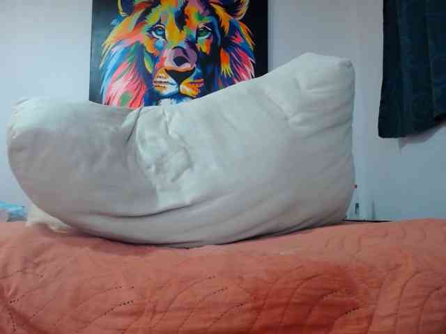 adablak webcam