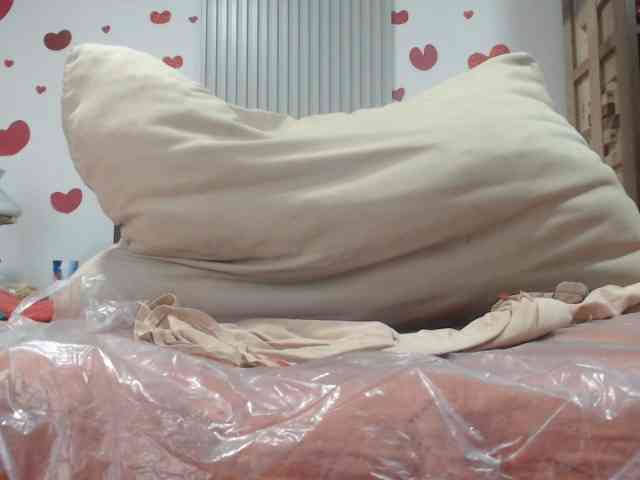 adablak webcam