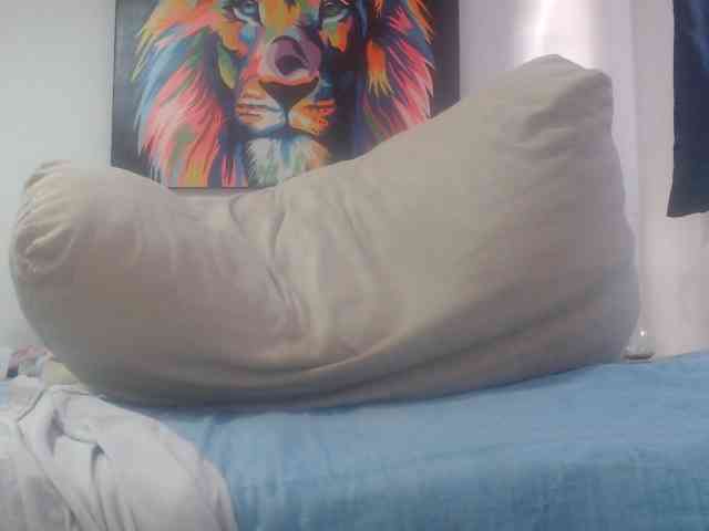 adablak webcam