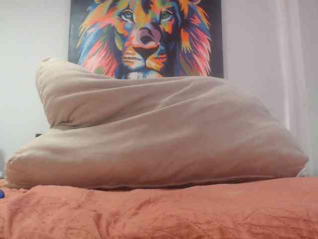 adablak webcam