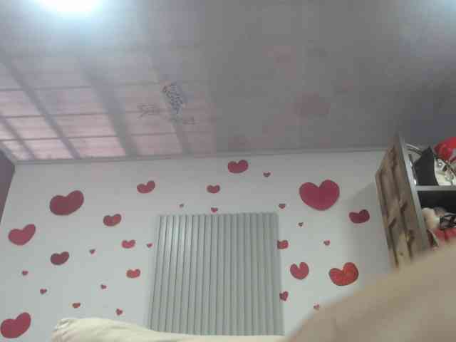 adablak webcam