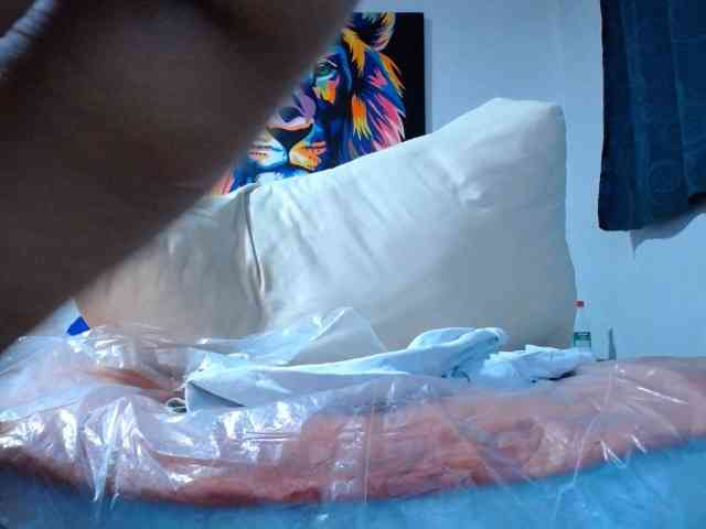 adablak webcam