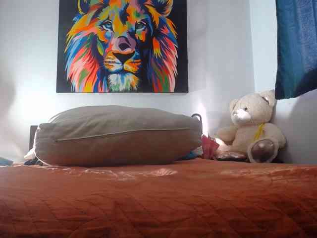 adablak webcam