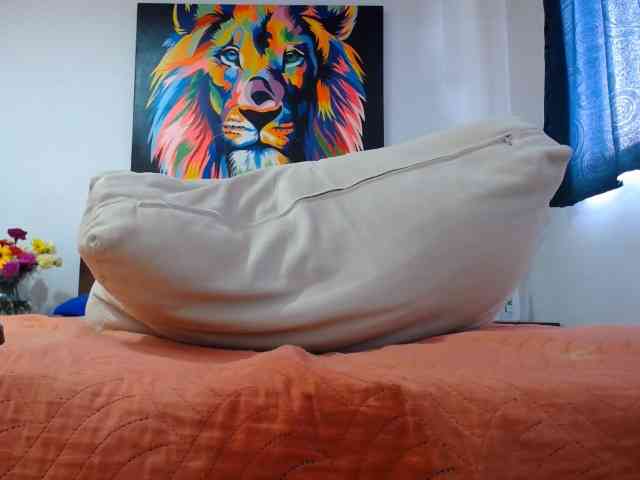 adablak webcam