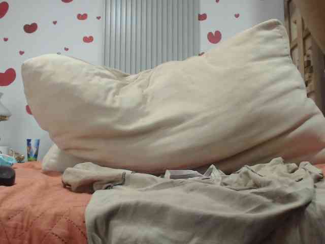 adablak webcam