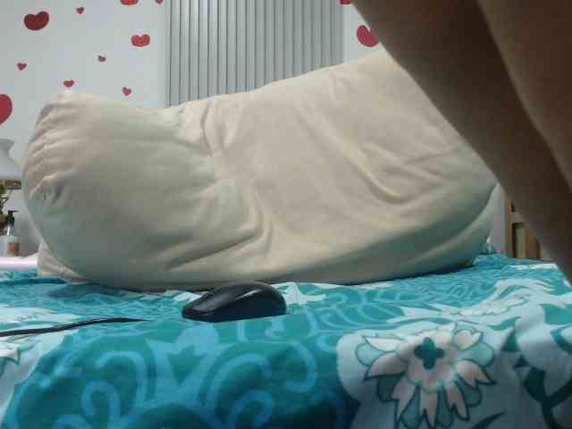 adablak webcam