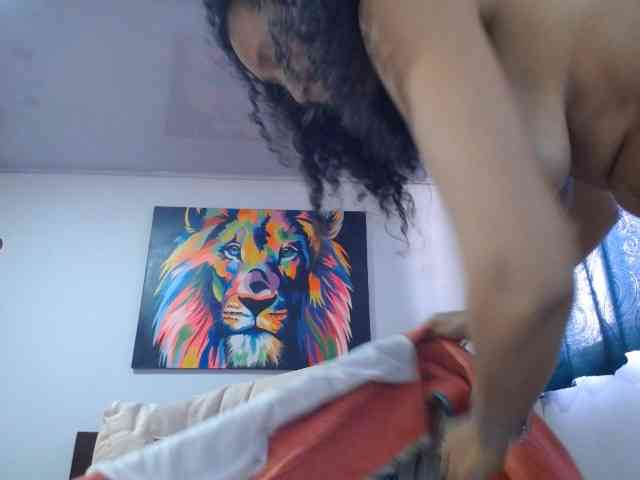 adablak webcam