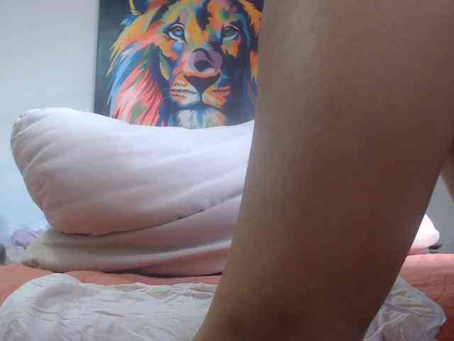 adablak webcam