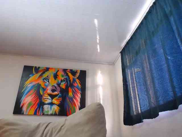 adablak webcam