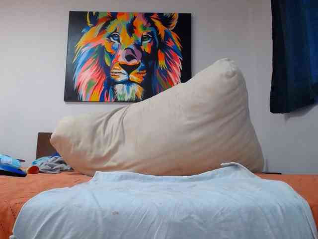 adablak webcam