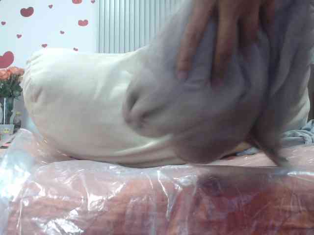 adablak webcam