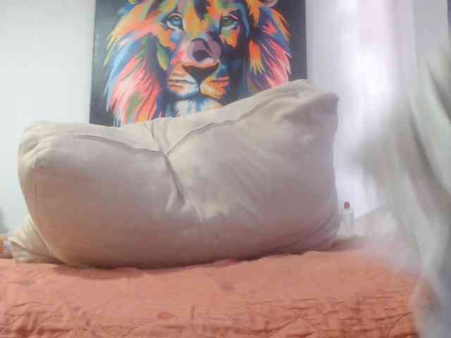 adablak webcam
