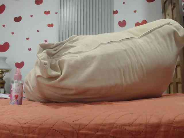 adablak webcam