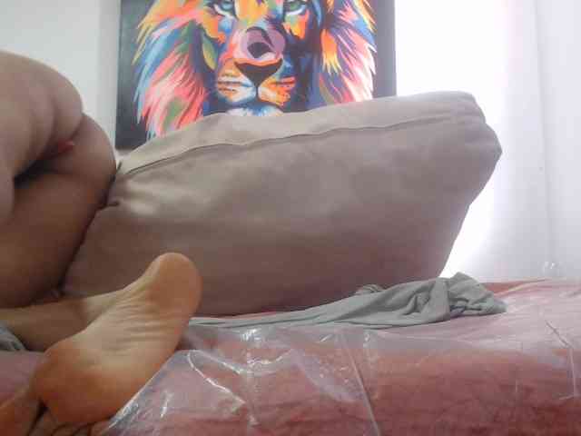 adablak webcam
