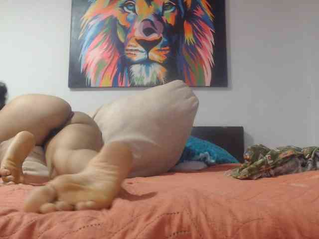 adablak webcam
