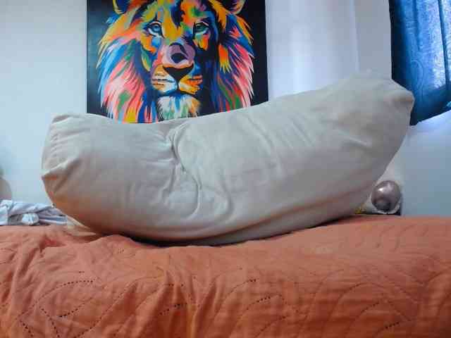 adablak webcam