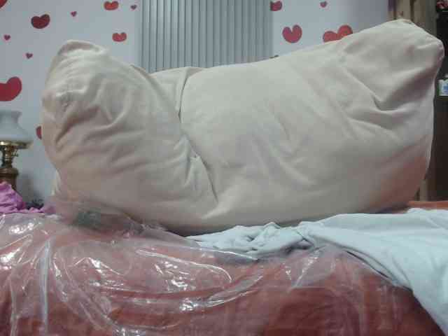 adablak webcam