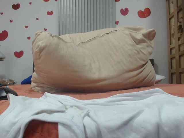 adablak webcam