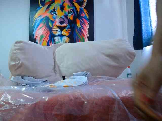 adablak webcam