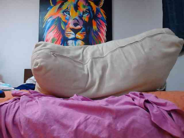 adablak webcam