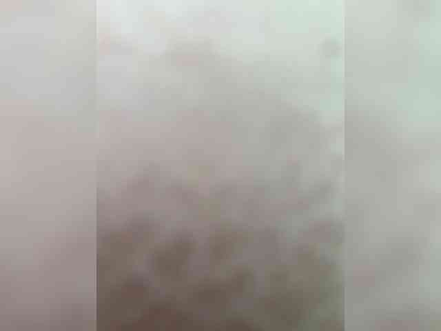 BadParents webcam
