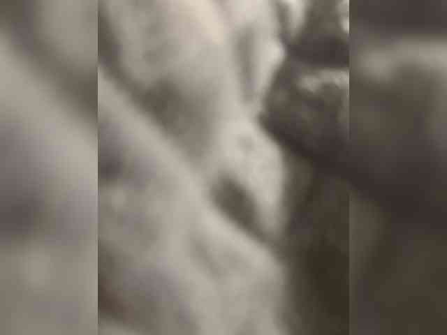 BadParents webcam