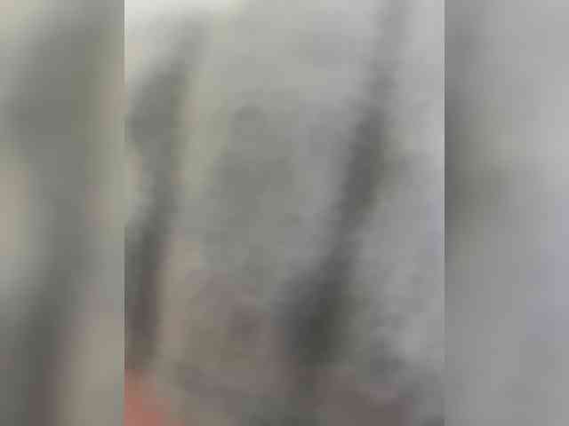 BadParents webcam