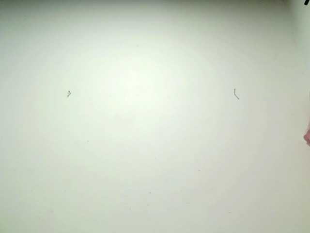 PetiteIvoryqueens live cam on BongaCams