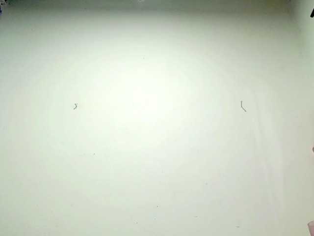 PetiteIvoryqueens live cam on BongaCams