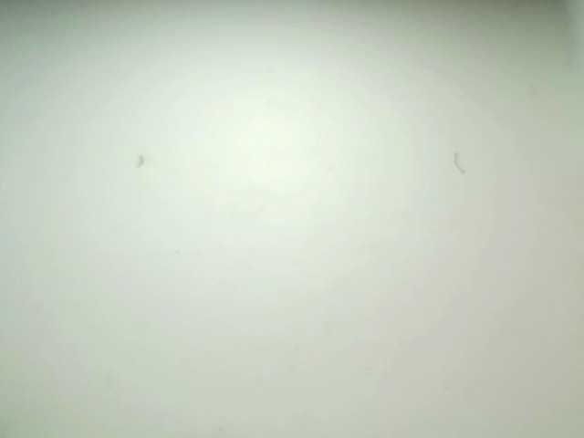 PetiteIvoryqueens live cam on BongaCams