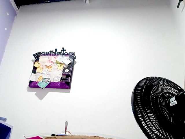 PetiteIvoryqueens live cam on BongaCams