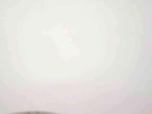 PetiteIvoryqueens webcam