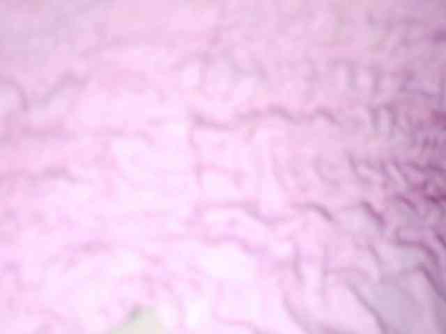 PetiteIvoryqueens webcam