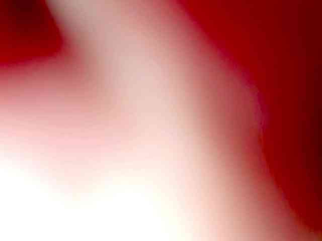 PetiteIvoryqueens webcam